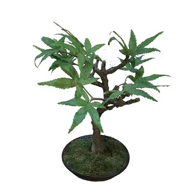 Umjetni japanski bonsai