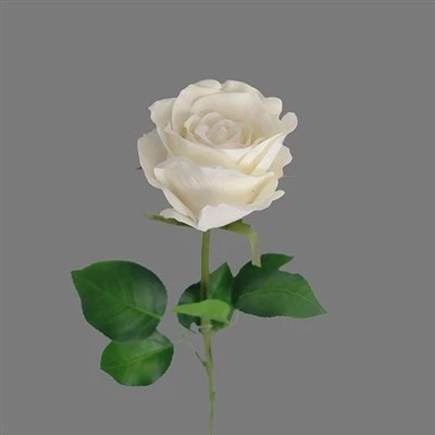 Cvijet od prirodnog dodirnog materijala