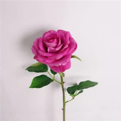 Prirodne stabljike cvijeća na dodir